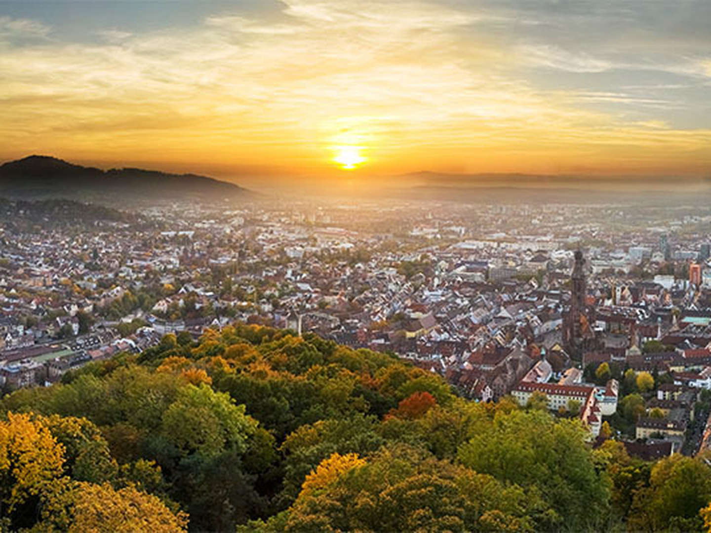 Weingarten zum Kennenlernen - 4 Tage im Schwarzwald