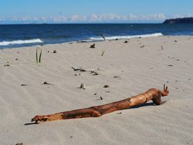 Wellness Winter Special mit Ayurveda Massage & Sauna auf Rügen am Meer