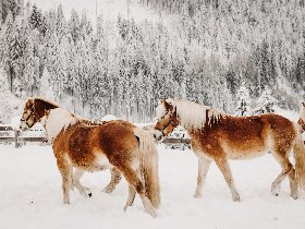Sonnenskilauf im Salzburger Land - Winterurlaub im Naturhotel | 4 Nächte