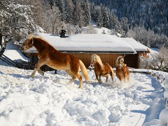 Auszeit im Advent im Gut Berg Naturhotel im Salzburger Land | 4 Nächte