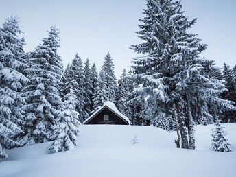 Kurzurlaub im Advent im Gut Berg Naturhotel im Salzburger Land | 3 Nächte