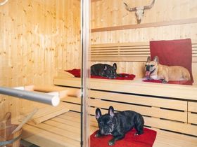 7 Tage Kurzurlaub im Gartenhotel im Rheinland  