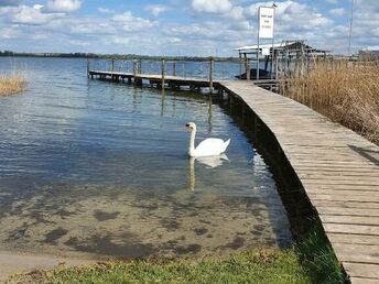 4 Romantische Tage am Uckersee 