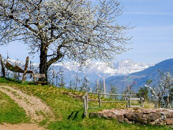 Erholungsurlaub im südtirolerischen Eppan an der Weinstraße | 4 Nächte