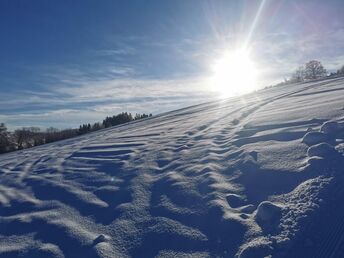 Erholung auf 1.000 m mit herrlichem Panoramablick auf die umliegenden Almen | 3 Nächte