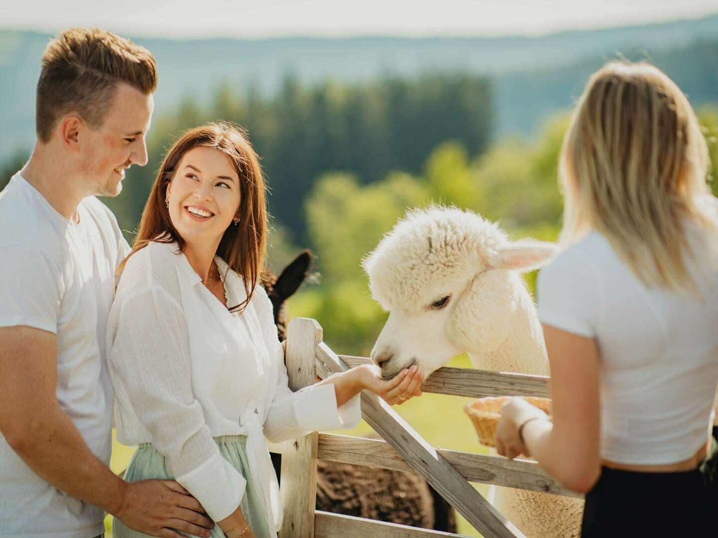 Erholungsurlaub in der Steiermark - Auszeit in der Natur | 2 Nächte