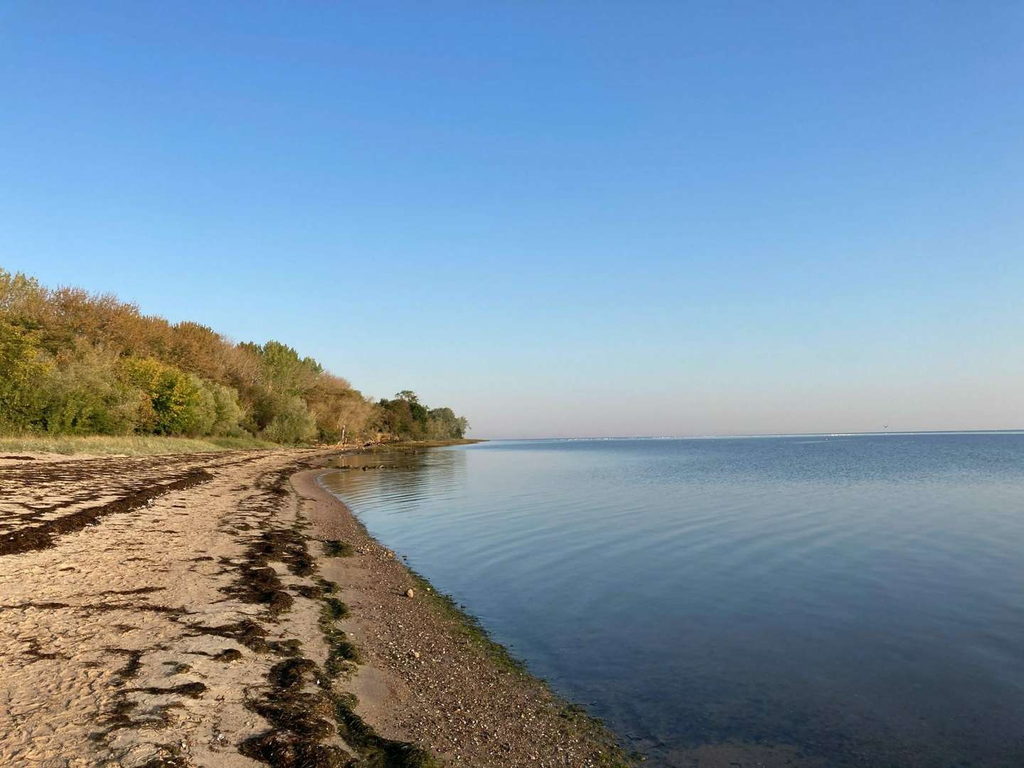 Romantische Auszeit, direkt am Strand - 5 Tage Kurzurlaub an der Ostsee