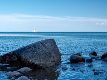 Weitblick - Rügen inkl. Eintritt Baumwipfelpfad & Abendessen