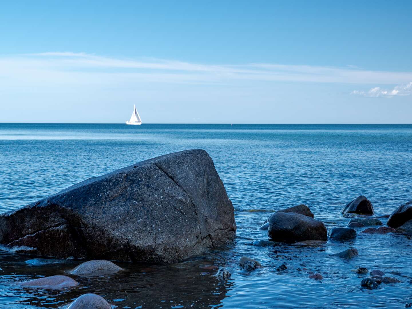 Weitblick - Rügen inkl. Eintritt Baumwipfelpfad & Abendessen