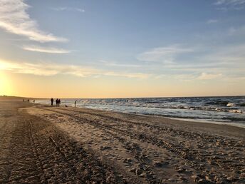 Ostsee-Urlaub mit Hund - Pfötchentage am Strand