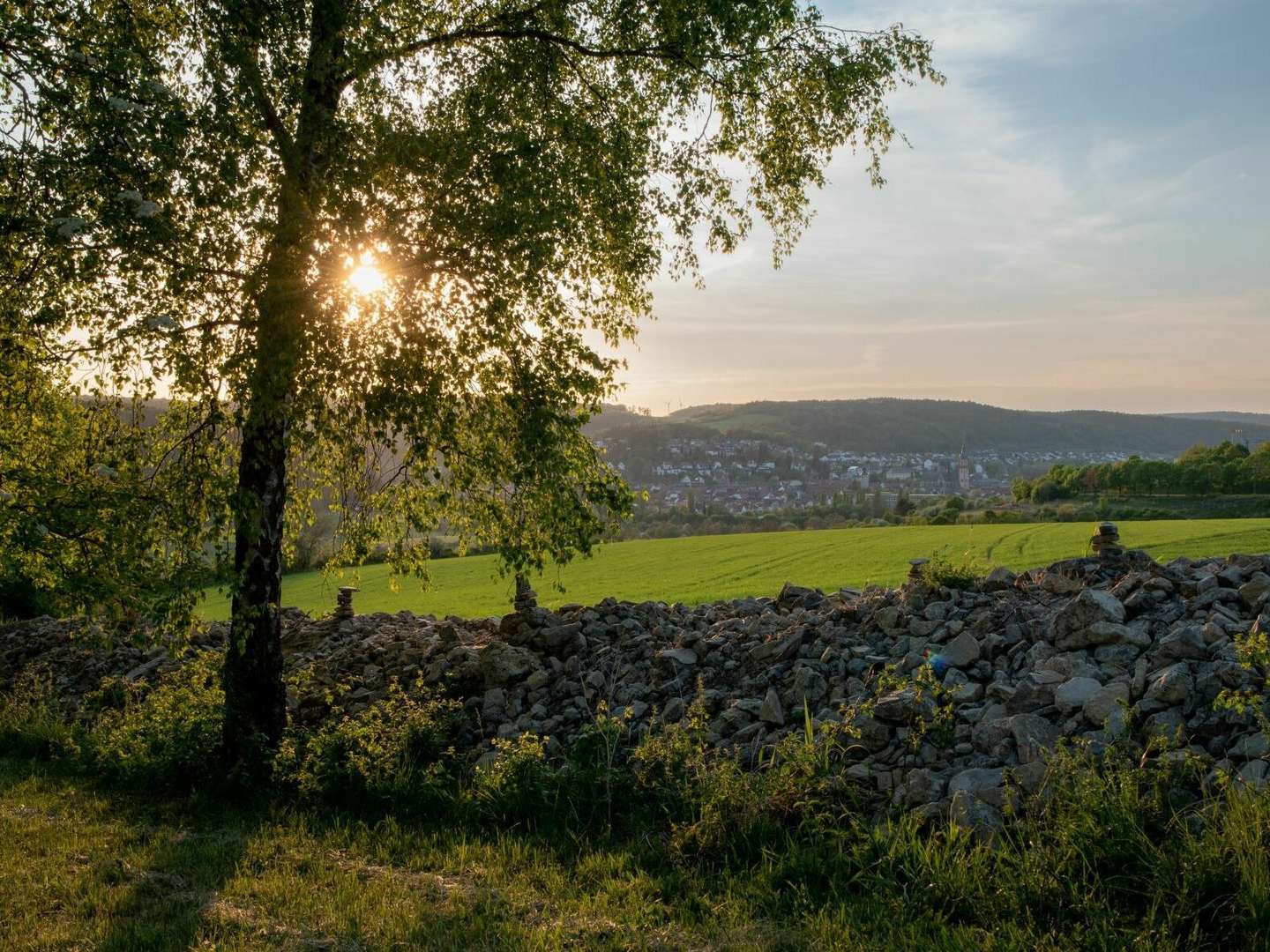 Kleine Auszeit an der romantischen Straße in Tauberbischofsheim