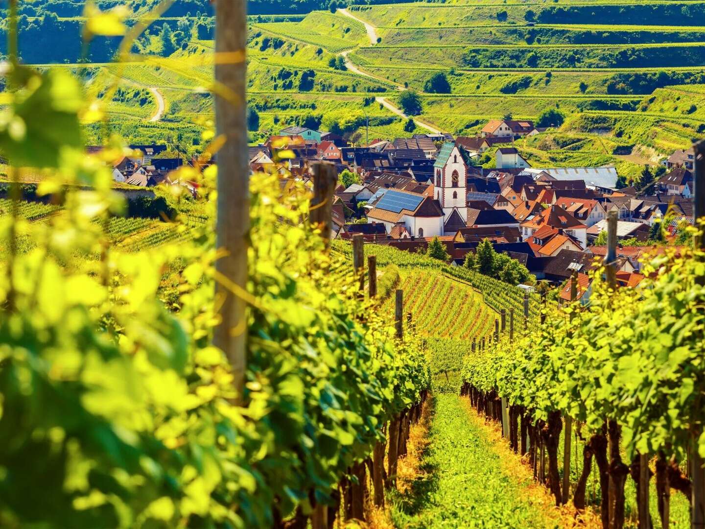 Schönes Land in Sicht - bei Freiburg im Breisgau - 6 Tage inkl. 1 Tag Leihfahrrad