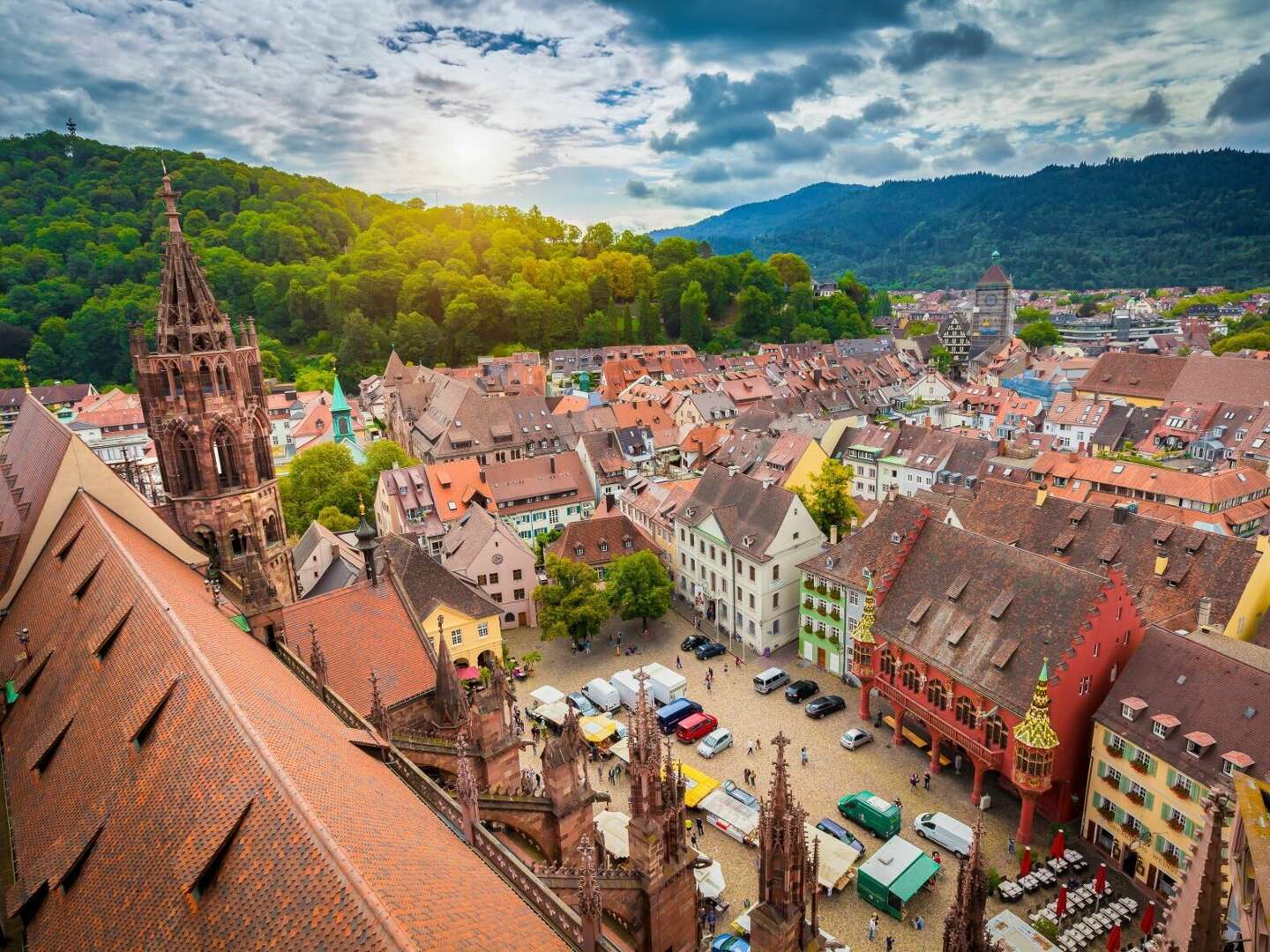 Schönes Land in Sicht - bei Freiburg im Breisgau inkl. 1 Tag Leihfahrrad