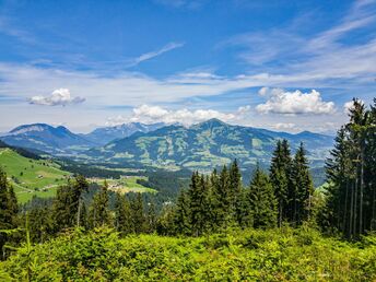 Sommer am Wilden Kaiser inkl. Brötchenservice & Endreinigung | 6 Nächte