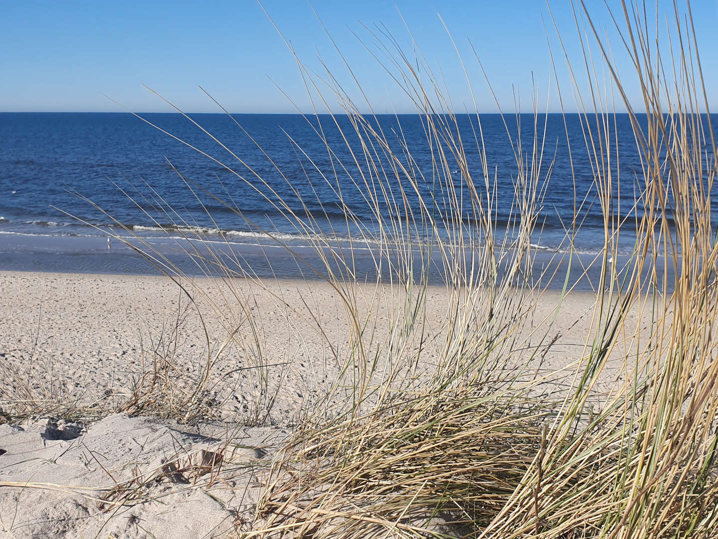 300 Meter vom Strand und Kieferwald | 5ÜF