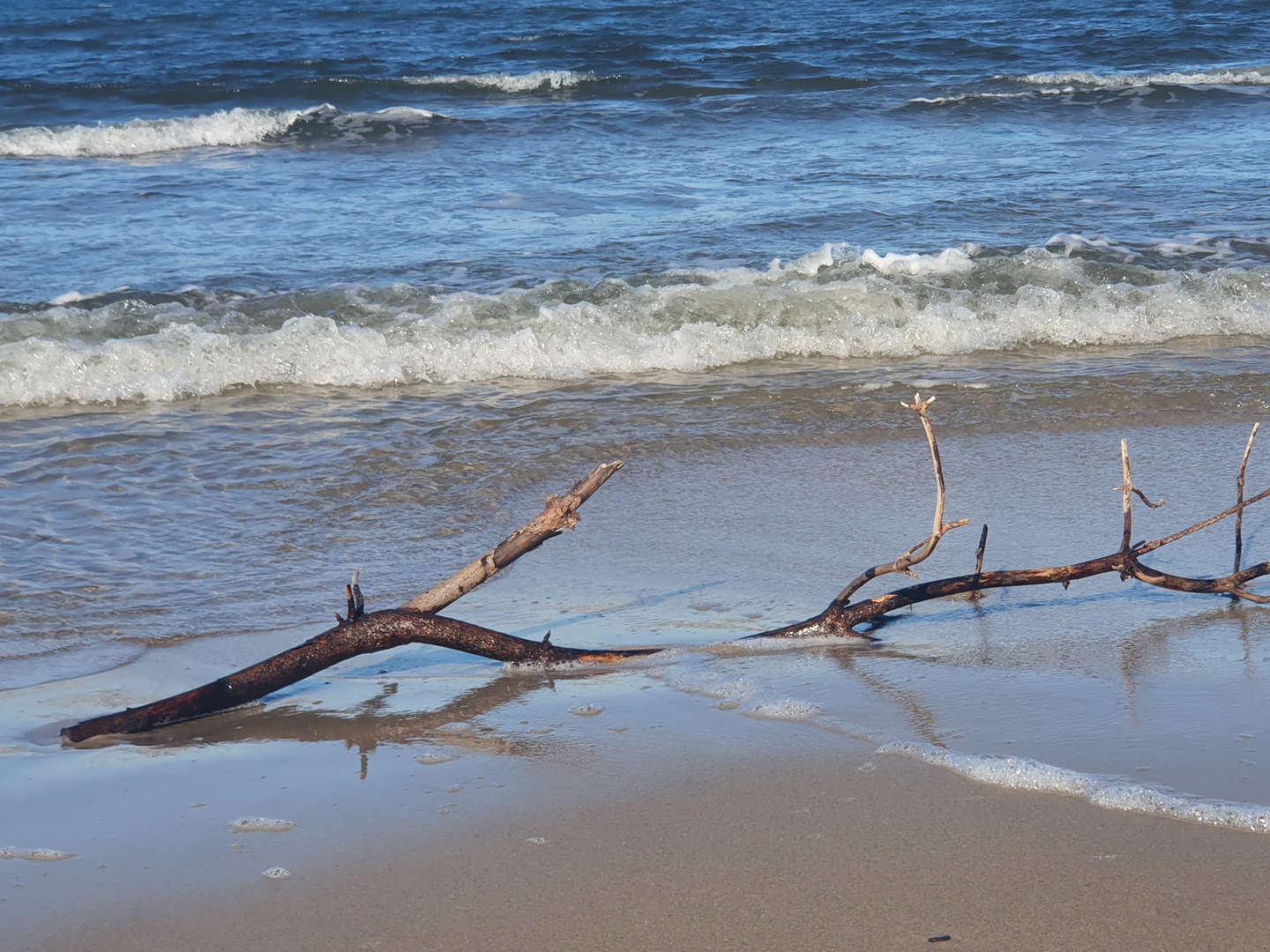 300 Meter vom Strand und Kieferwald | 3ÜF