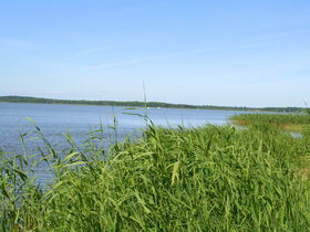 Usedom Auszeit inkl. Eintritt Bernsteintherme und Abendessen