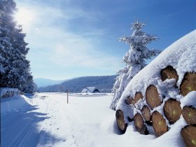 Schwarzwald HERBST Alles Inklusive 