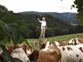 Schwarzwald HERBST Alles Inklusive 