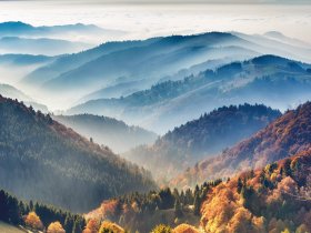 Schwarzwald HERBST Alles Inklusive 