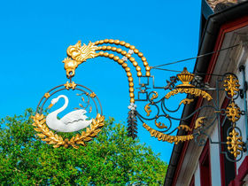 Baden und Elsass a la Rad - 5 Tage