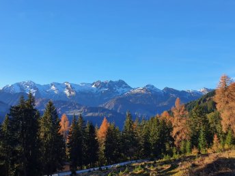 NaturPur im Zillertal | 2 Nächte