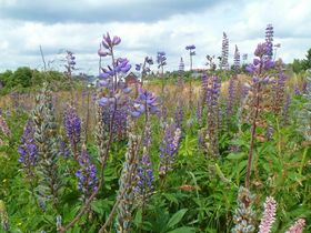 Erlebnistage am Fichtelberg - Premium All Inklusive Auszeit - 2 Tage 