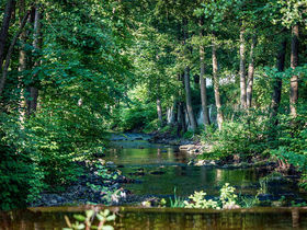 Verwöhn- Wellness Auszeit in Bad Lauterberg