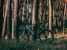 Verwöhn- Wellness Auszeit in Bad Lauterberg