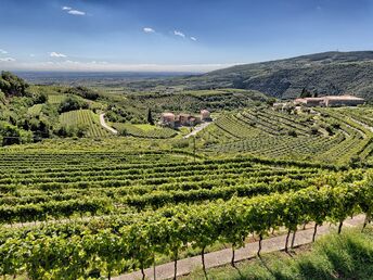 Wein & Entspannung - Auszeit in der italienischen Weinregion inkl. Thermalpark Eintritt | 5 Nächte