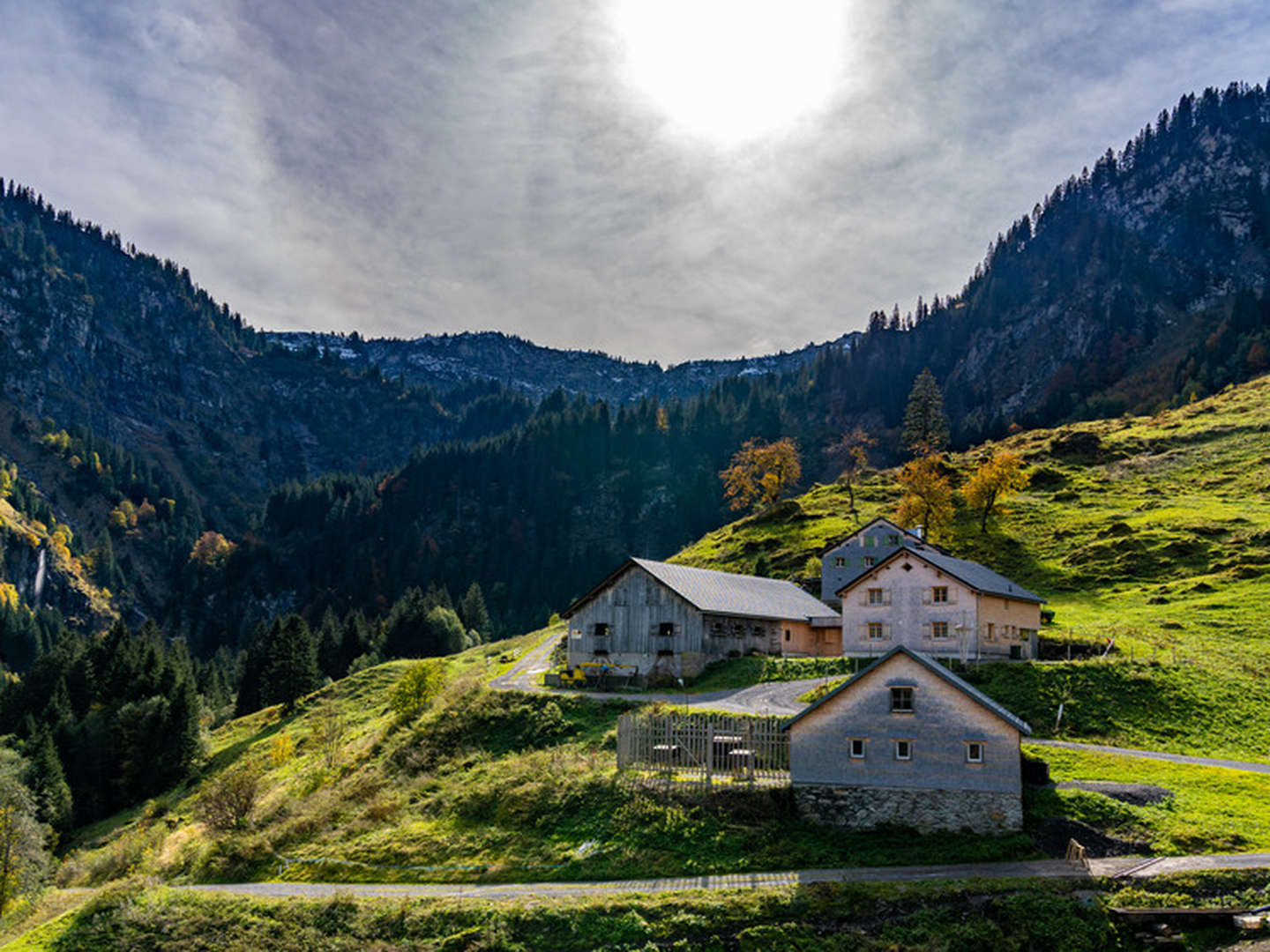 Wandern im Bregenzerwald - Wellness & Natur | 3 Nächte