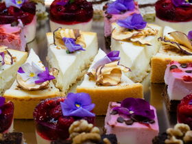 Wellnessurlaub in Sárvár mit Therme & Halbpension | 2 Nächte