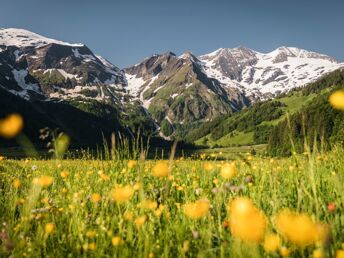 Wanderurlaub im Nationalpark Hohe Tauern mit Wellnessgenuss | 5 Nächte