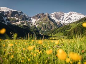 Sommerurlaub in den Bergen zwischen Zell am See & Kitzbühel | 2 Nächte
