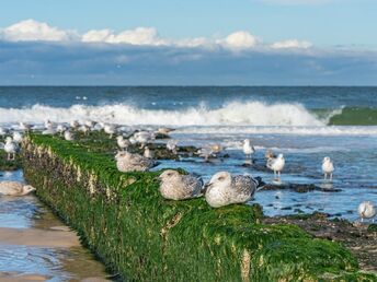 Erleben Sie eine Zeit voller Romantik auf Sylt