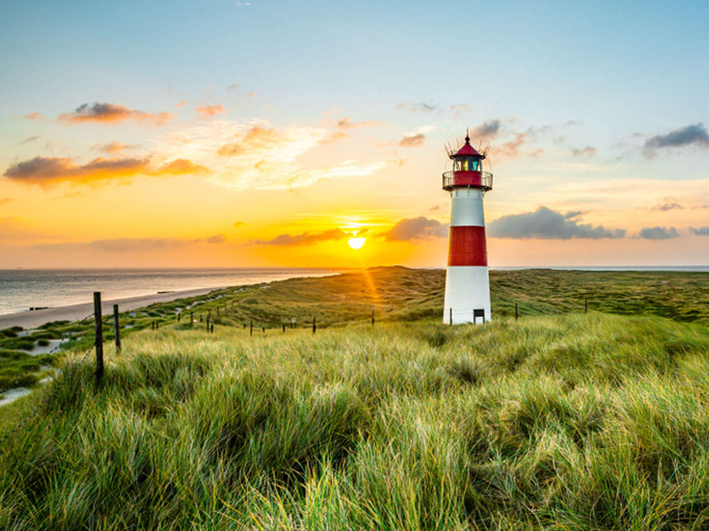 Kuschelwoche auf Sylt