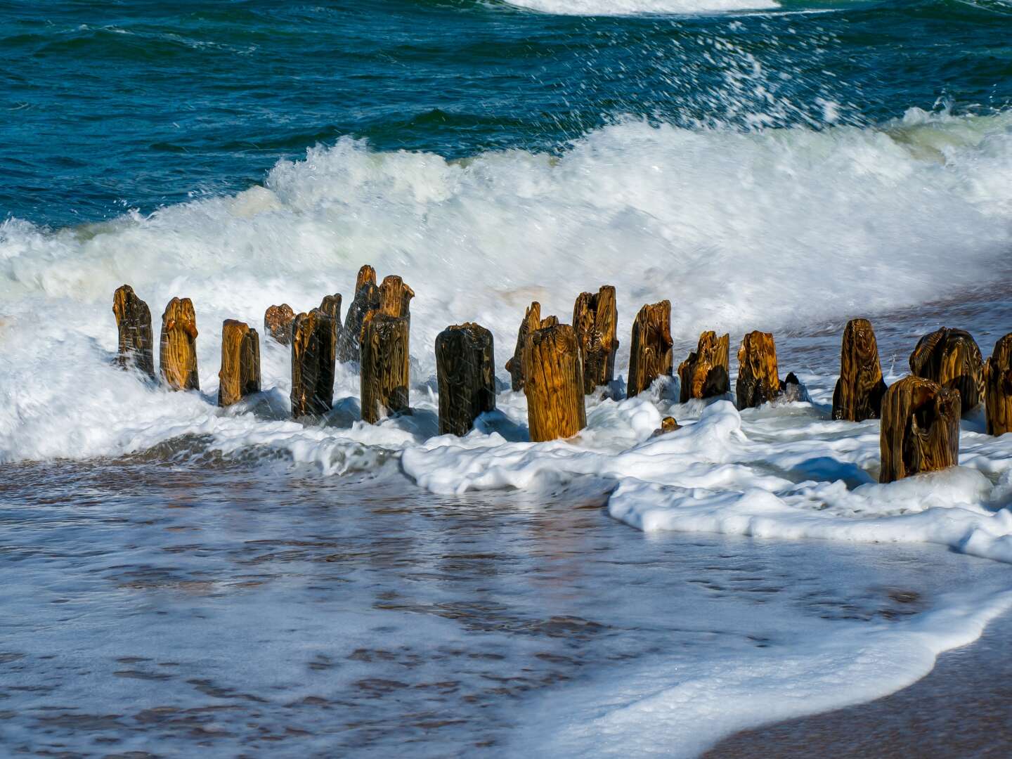 Sylt ist das besondere Licht im Norden inkl. Eintritt ins Aquarium