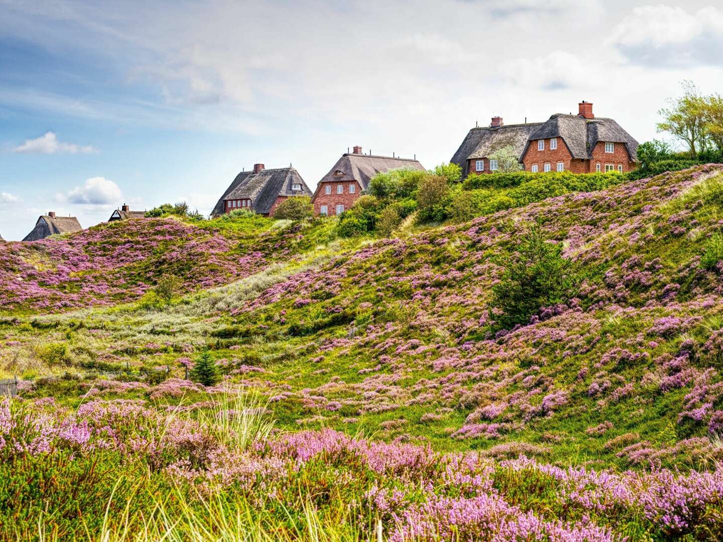 Erleben Sie eine Zeit voller Romantik auf Sylt