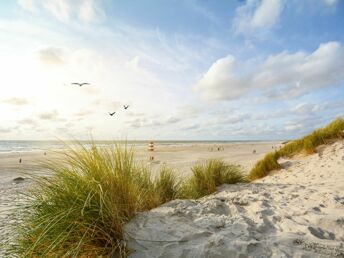 Erleben Sie eine Zeit voller Romantik auf Sylt