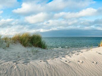 Kuschelwoche auf Sylt