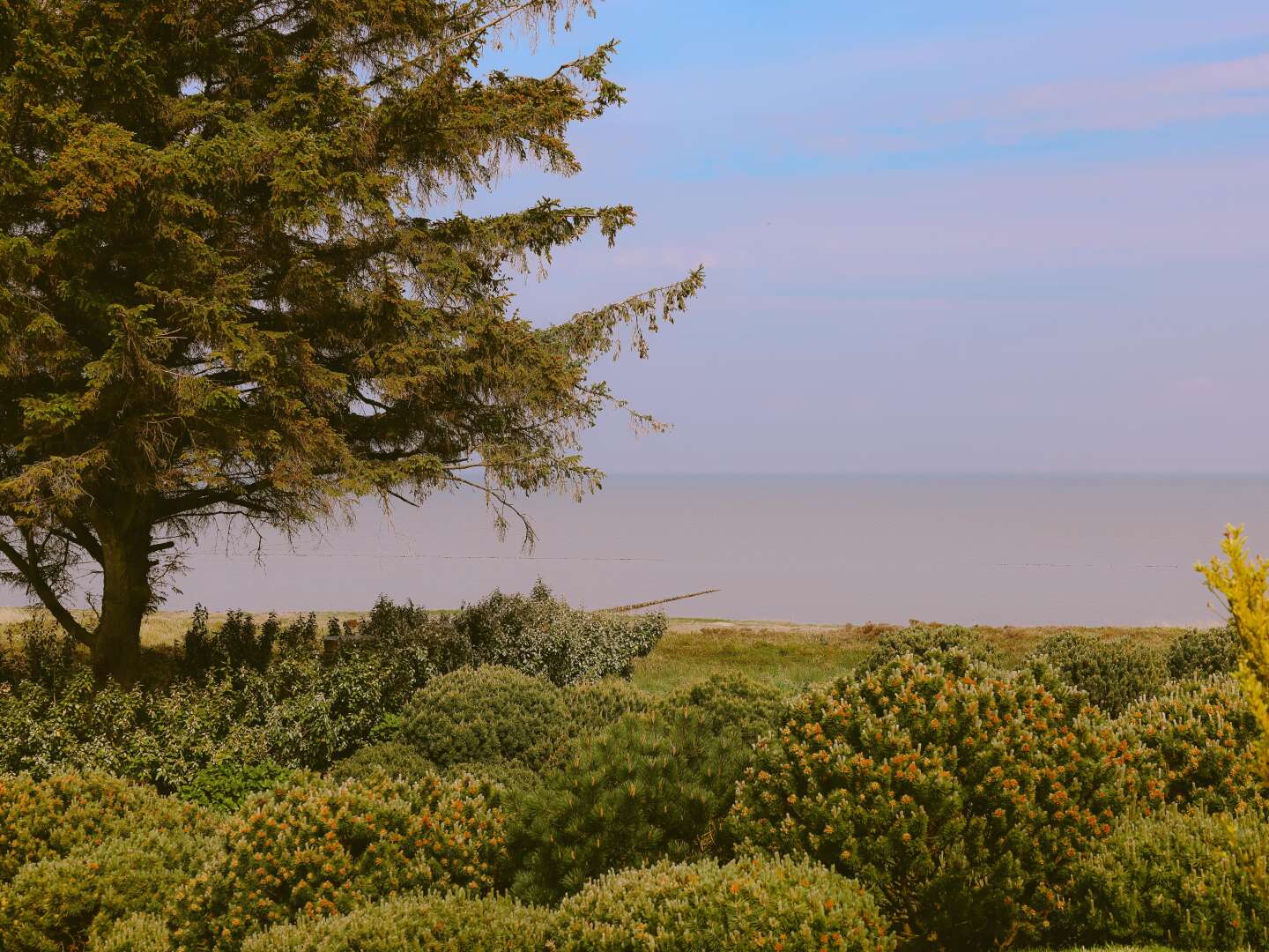 Erleben Sie eine Zeit voller Romantik auf Sylt