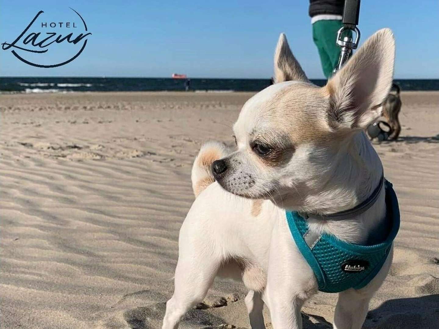 Wanderung am Ostsee-Strand | 2ÜF 