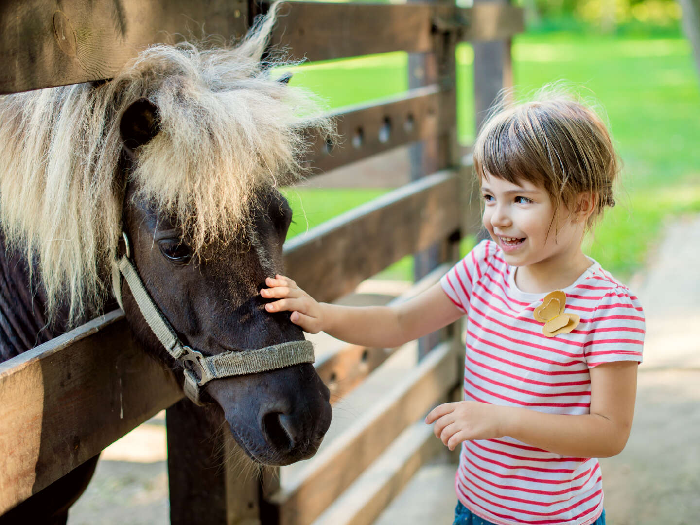 Last Minute auf den Bauernhof - Tierischer Familienurlaub | 2 Nächte