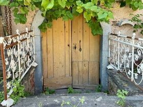 Wanderlust an der Mosel inkl. Lunchpaket