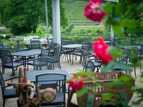 Wanderlust an der Mosel inkl. Lunchpaket