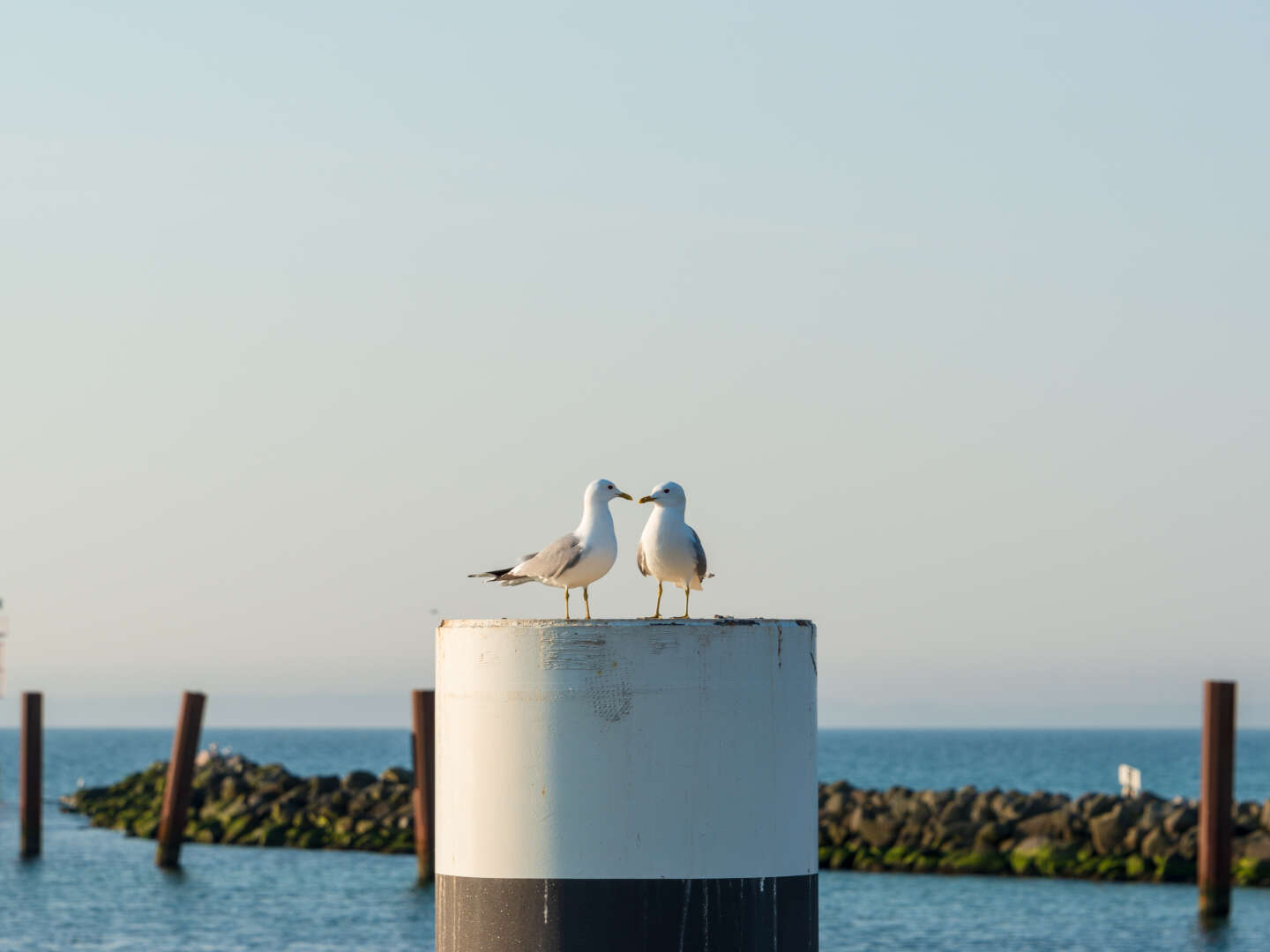 Ostsee Exklusivurlaub mit Sauna & Kamin 5 Nächte 