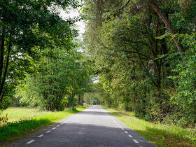 4-tägiges Weihnachtspaket mit Live-Musik in Twente - 3 Nächte