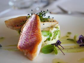 4-tägiges Weihnachtspaket mit Live-Musik in Twente - 3 Nächte