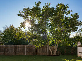 Silvester in Ruhe genießen / 2 Nächte ink. Frühstück