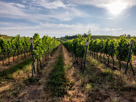 Silvester in Ruhe genießen / 2 Nächte ink. Frühstück